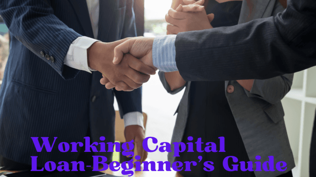 Loan Beginner